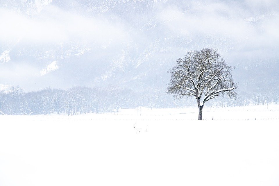 Fotograferen in de sneeuw