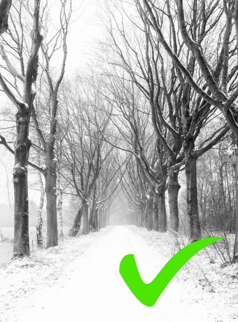 Fotograferen in de sneeuw