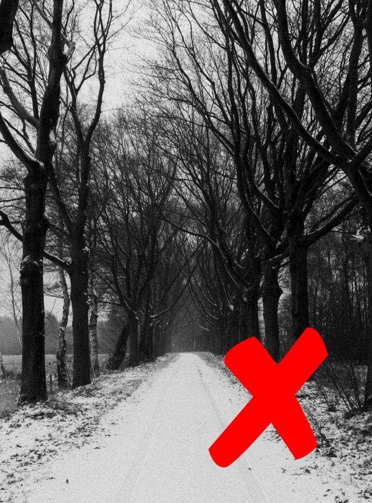 Fotograferen in de sneeuw