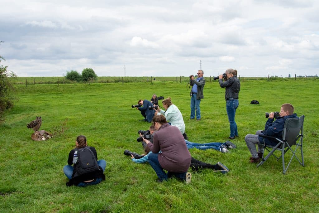 Vogelfotografie