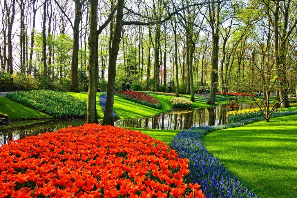 Mooiste fotolocaties Nederland