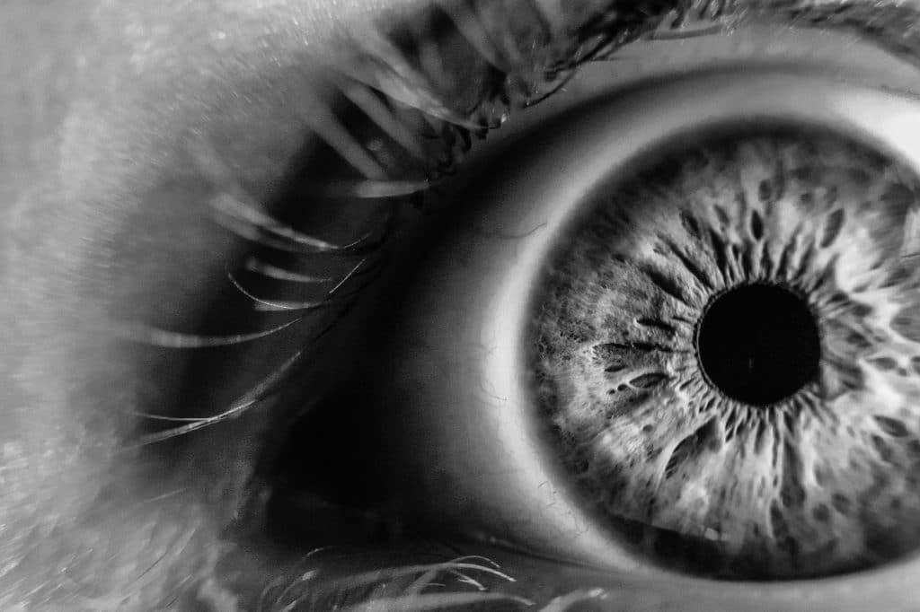 Close-up fotografie