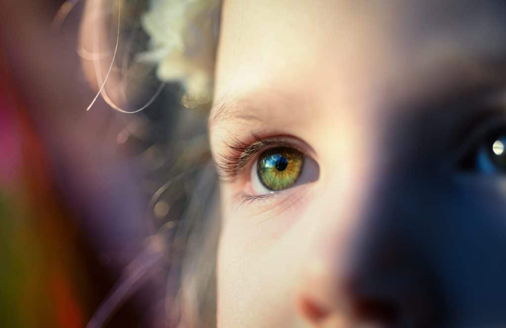 Close-up fotografie