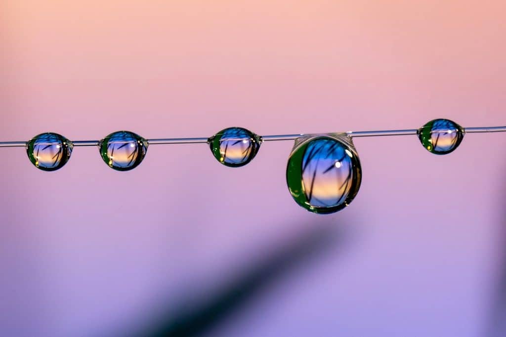 Close-up fotografie