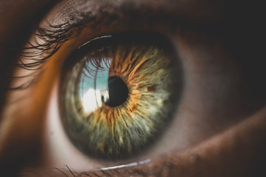 Close-up fotografie