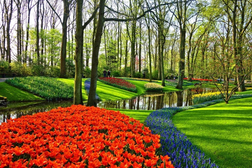 Bloemen fotograferen