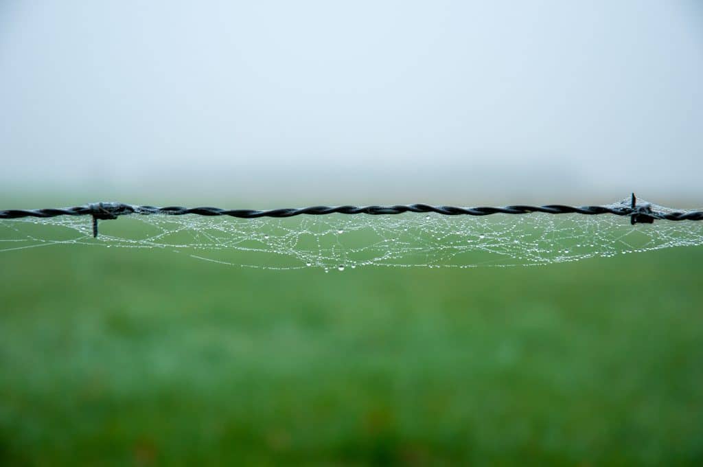 Close-up fotografie