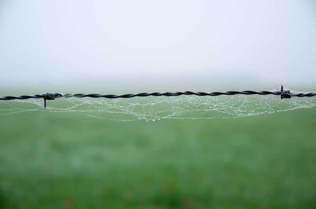Close-up fotografie