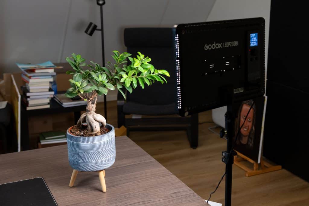 Fotograferen met flitser