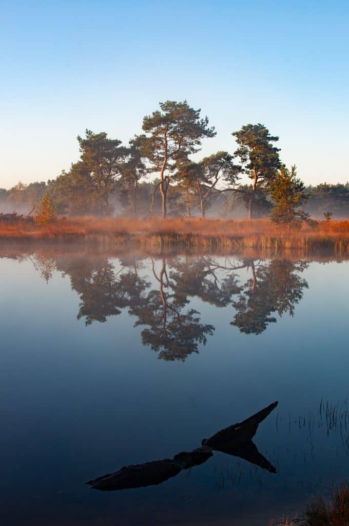 Mist fotograferen