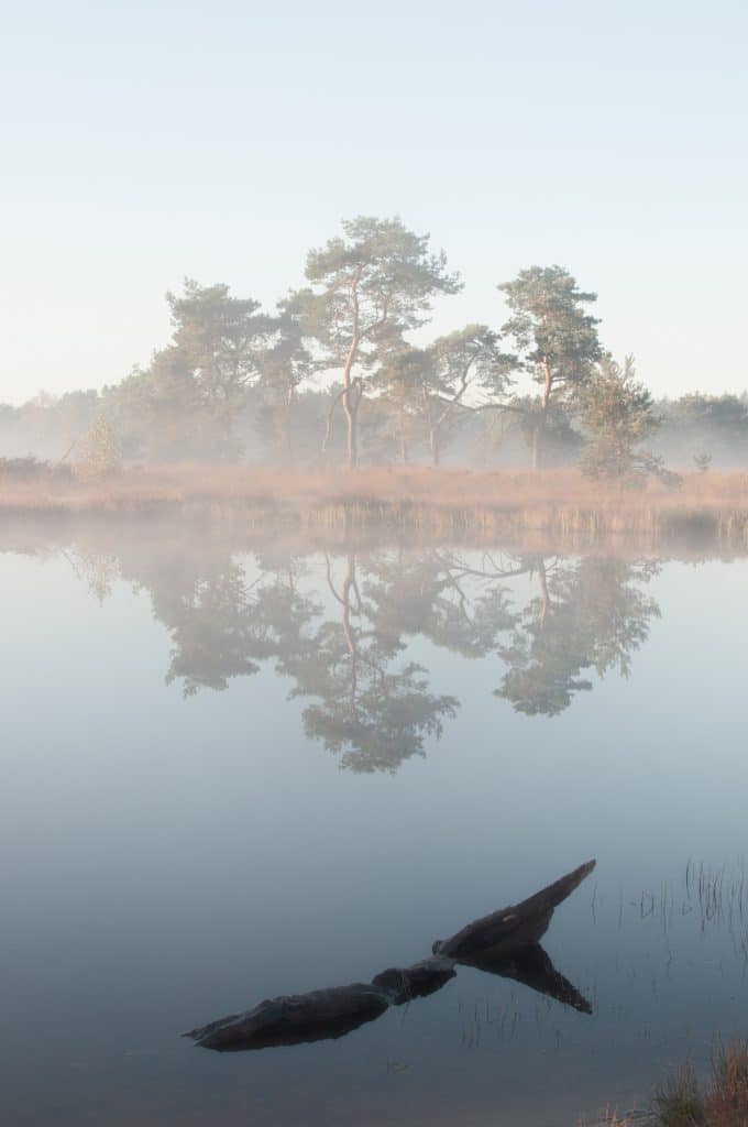 Mist fotograferen