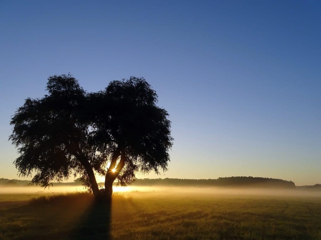 Zonsondergang fotograferen