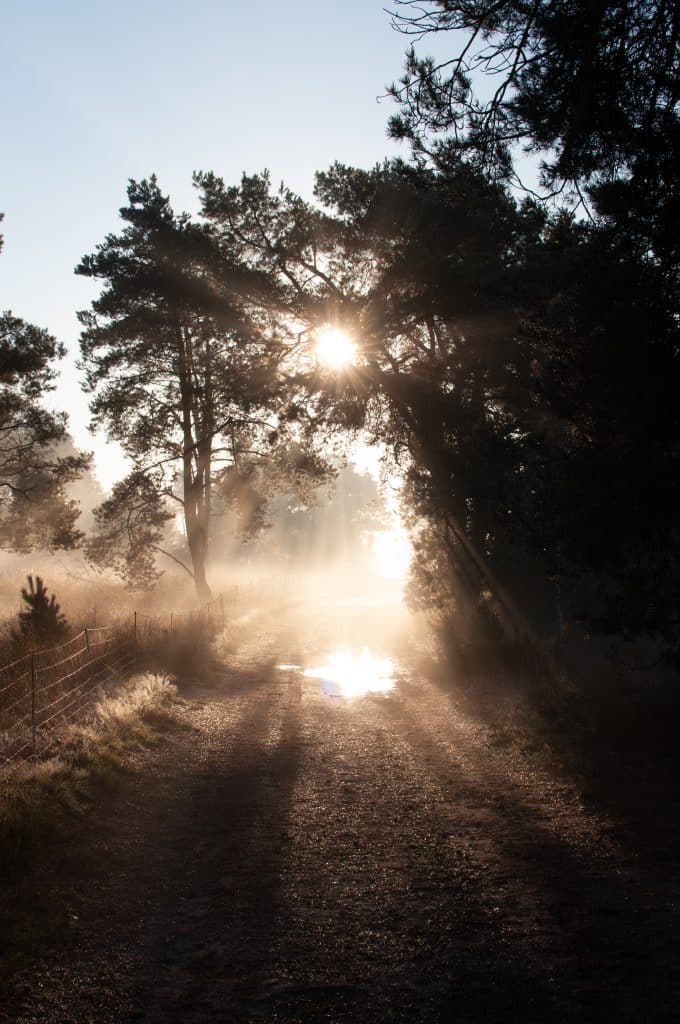 Zonsondergang fotograferen
