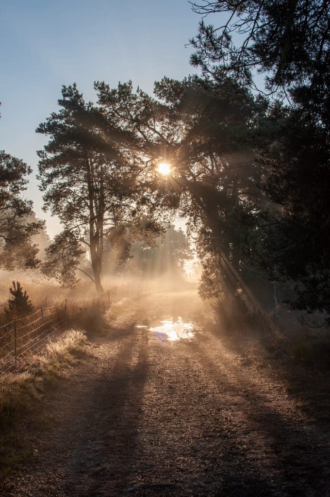 Zonsondergang fotograferen